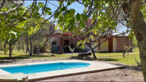 Cabaña Olive Garden